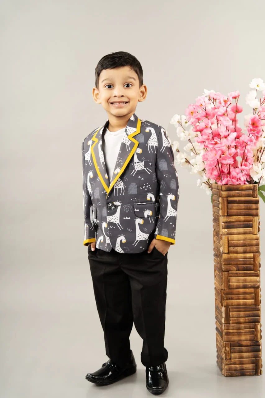 Stylish Dress for Boys